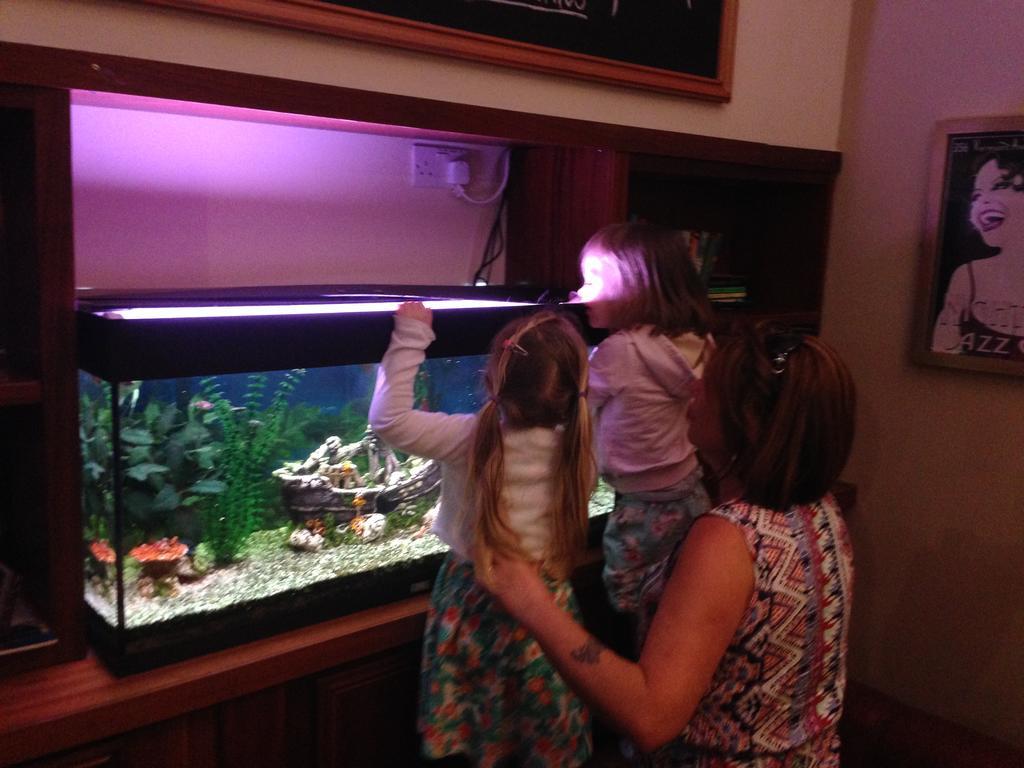 Leitrim Marina Hotel Carrick on Shannon エクステリア 写真